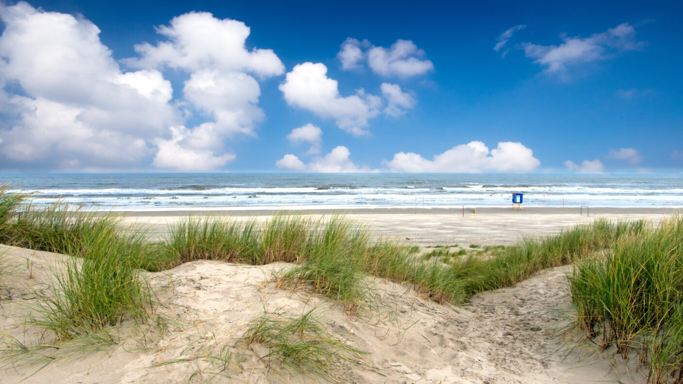 Wer die Abgeschiedenheit sucht, findet sie in Ostfriesland.